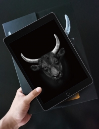 Cường Lực Mới MIPOW KINGBULL Cho Các Dòng Ipad iPad Pro...